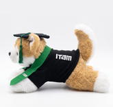 Peluche Colmillo | Graduado