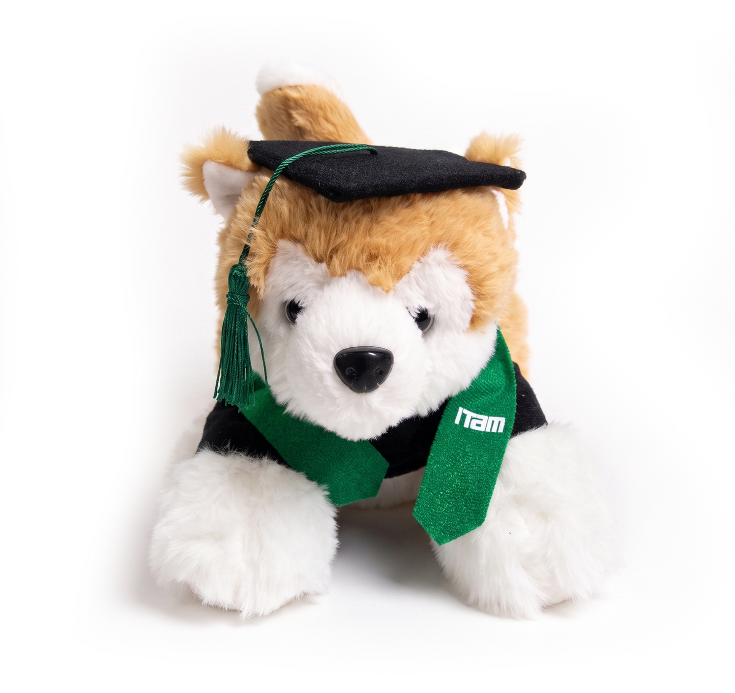 Colmillo Graduado ITAM
